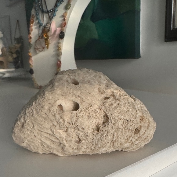 Natural Cream Coral Sculpture - Picture 6 of 6